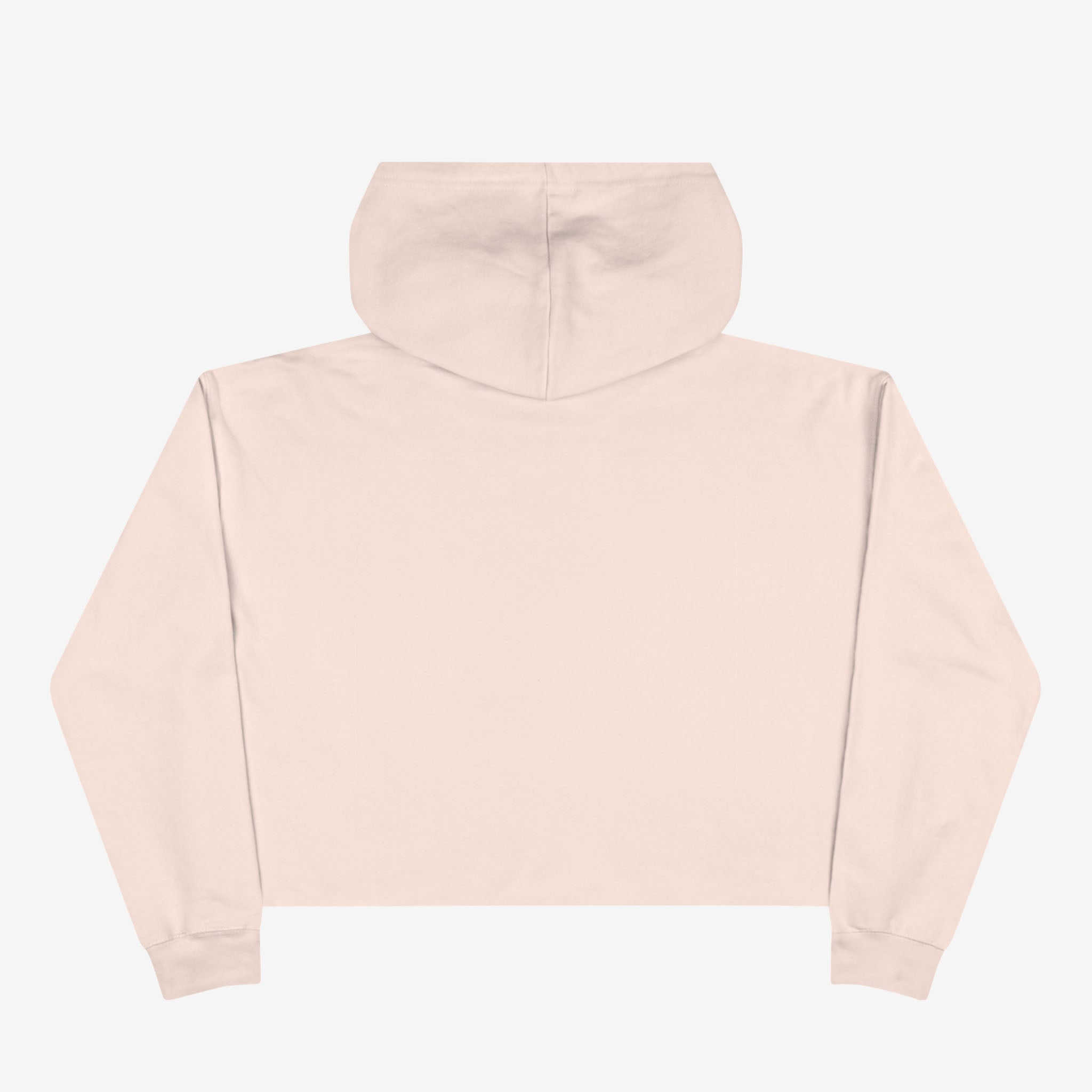 Back of positive hoodie - plain pink.